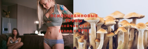 spice Балабаново