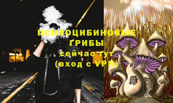 spice Балабаново