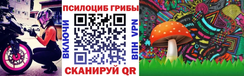 сколько стоит OMG Псилоцибиновые грибы мицелий Георгиевск