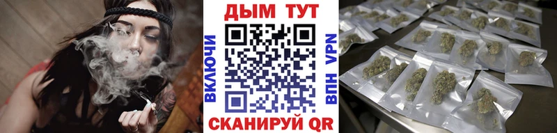 Шишки марихуана планчик Георгиевск